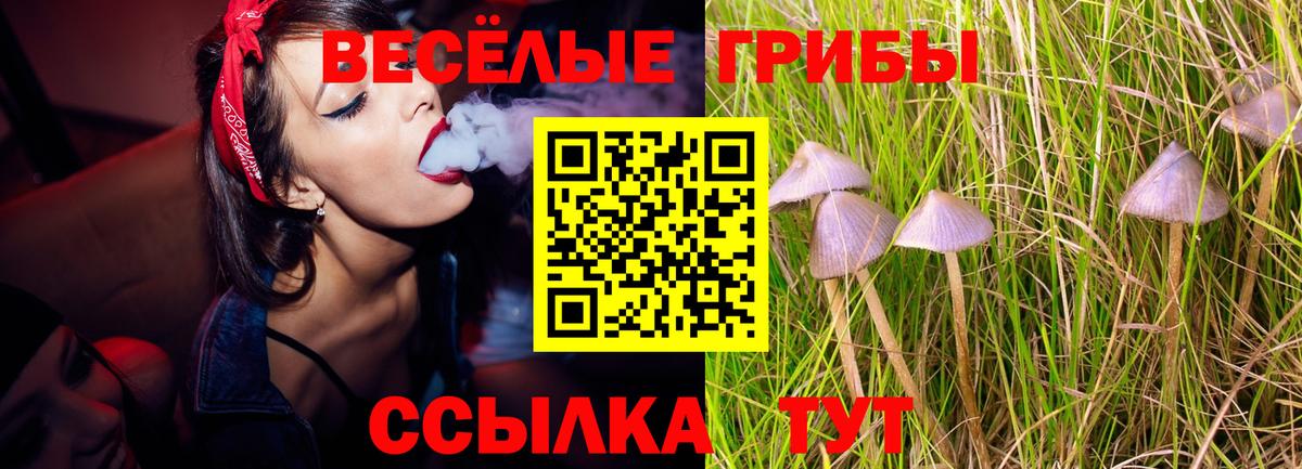 Галлюциногенные грибы Magic Shrooms Избербаш