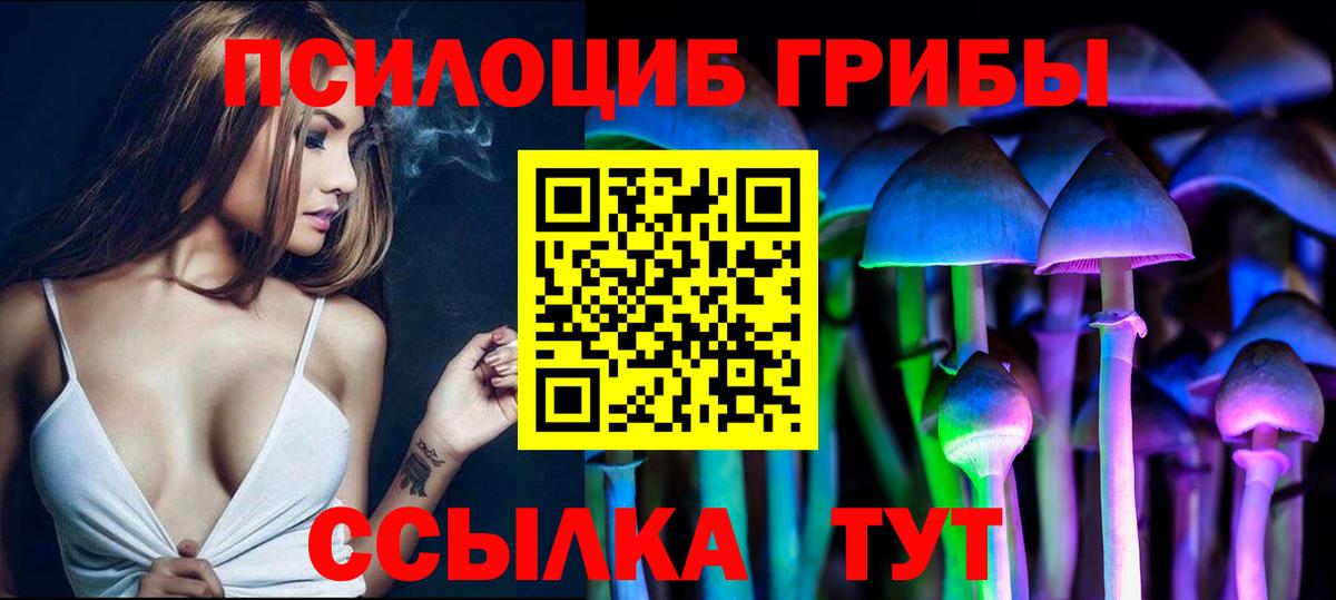 Избербаш  наркошоп  Вход с VPN  Галлюциногенные грибы Psilocybine cubensis 